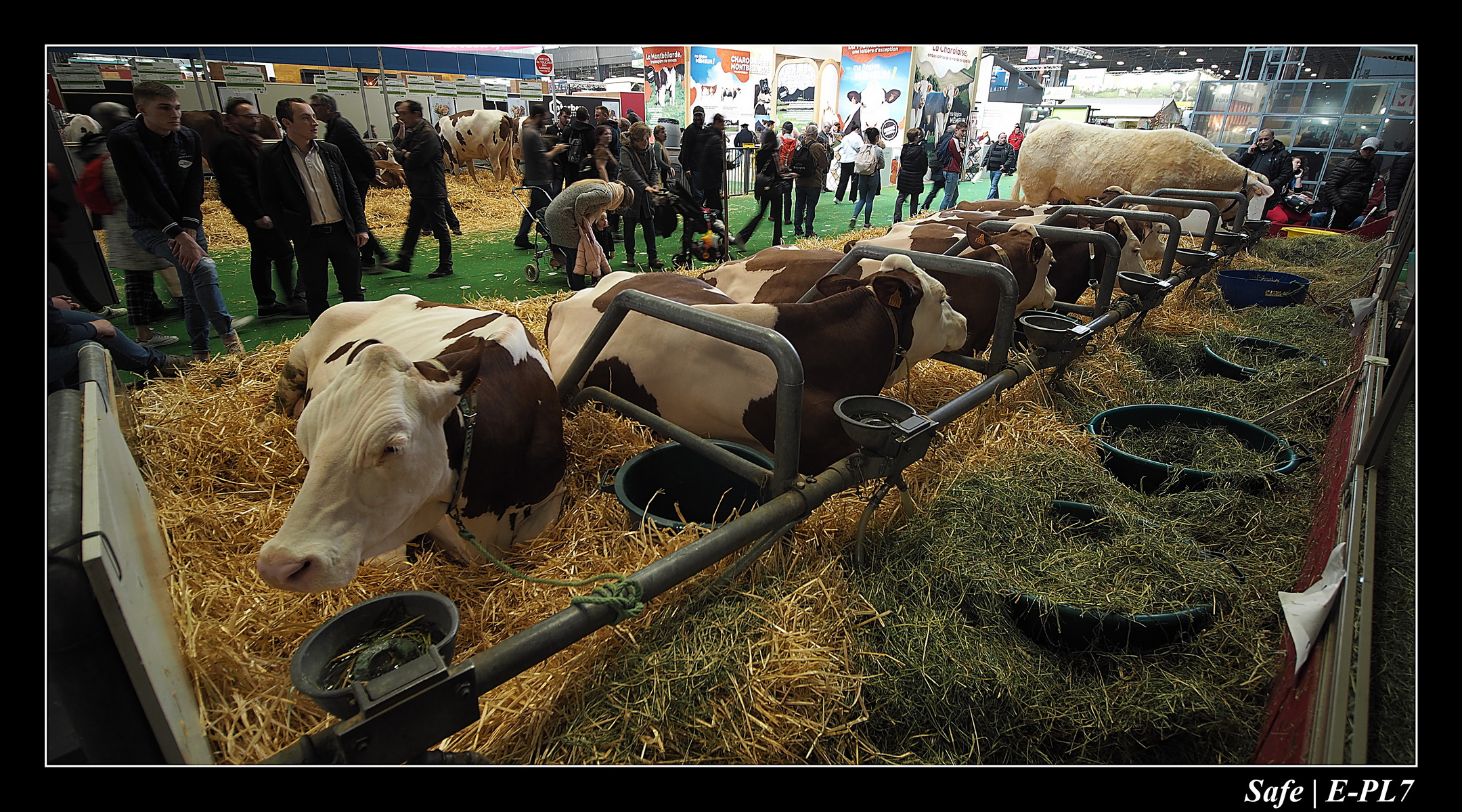 2020 - 02 - Salon agriculture 52